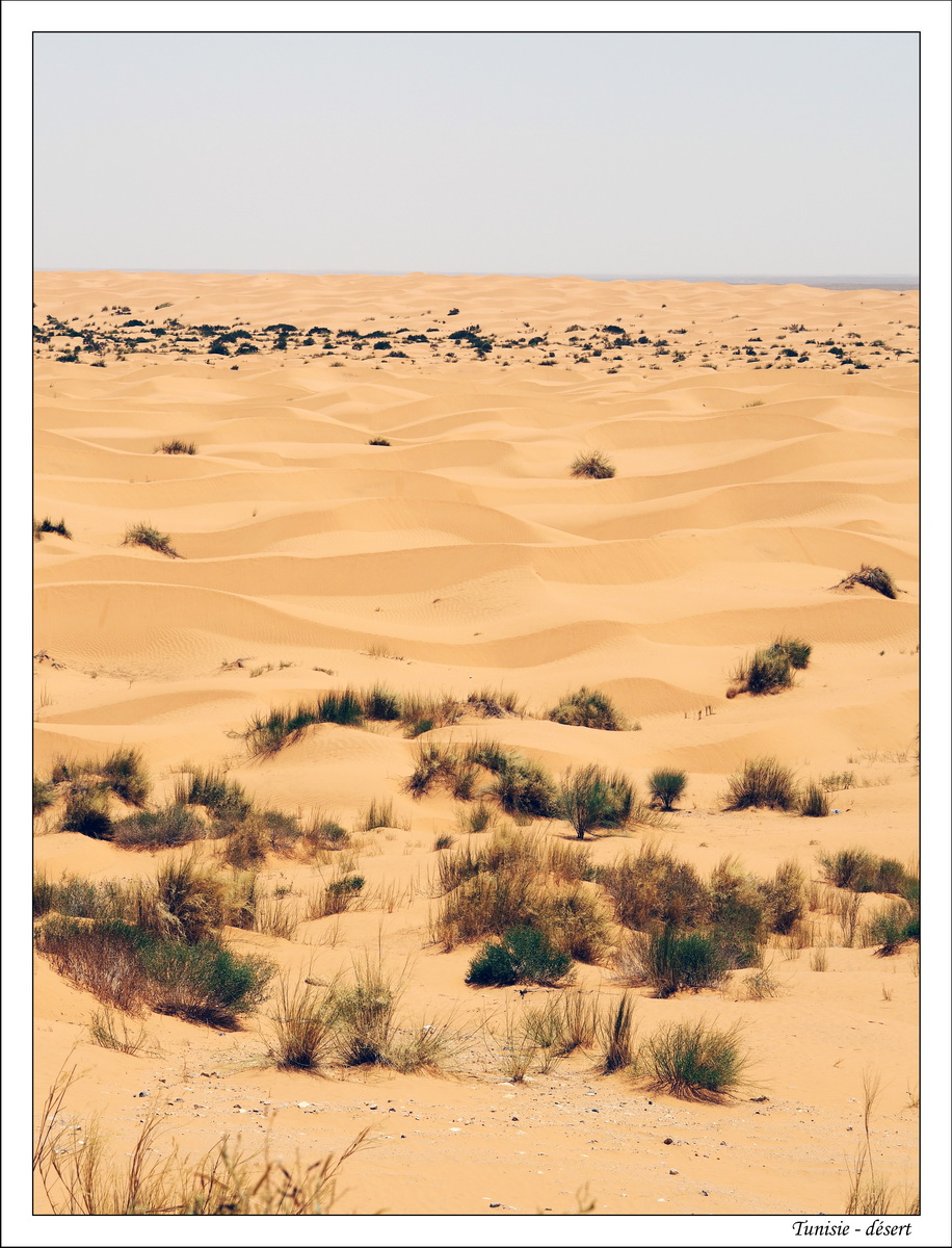 2018 - 05 - Djerba - 13